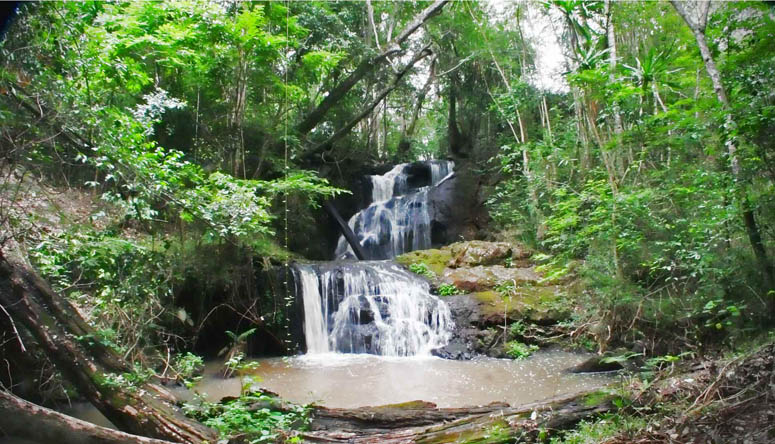 Karura Forest