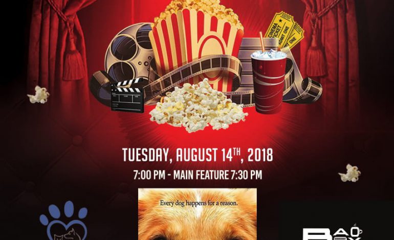 Family Movie Night @ baobox Westlands